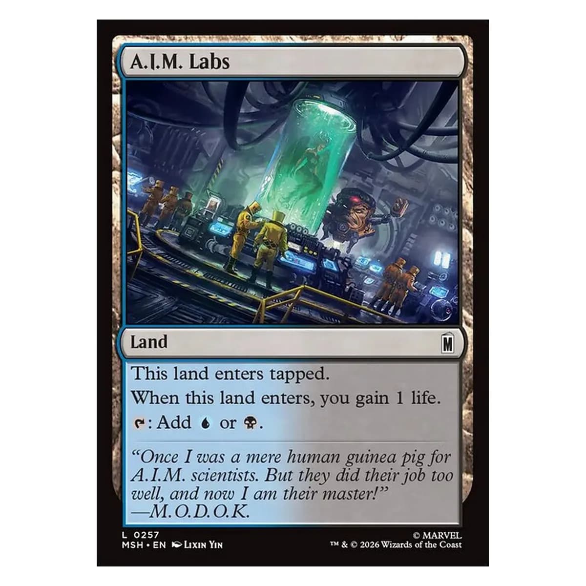 A.I.M. Labs